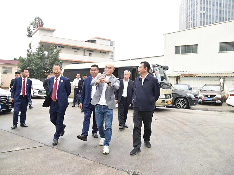 麻豆视频免费看廠家